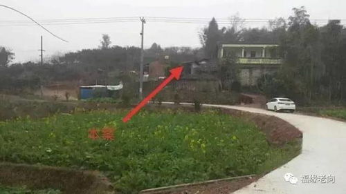 真实案例吓死你！