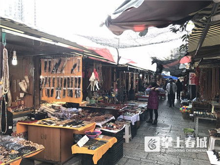 昔日风华：苏家屯花鸟市场环境的传奇起点
