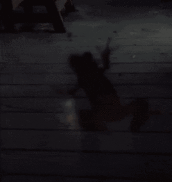 窗外的异动与白虎衔尸