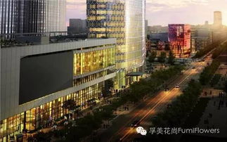 一进门的懵圈状态