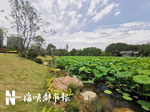 三、 隐藏版打卡点：只有当地人才知道的大坑与小天堂