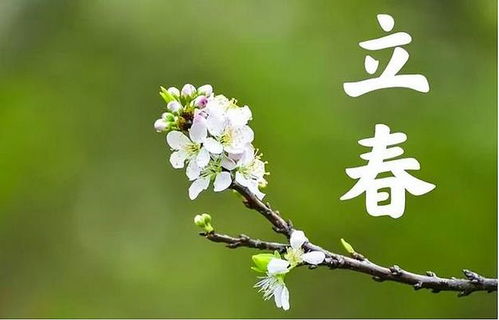 明年立春的生肖是什么？今日立春的三大生肖分别意味着什么？