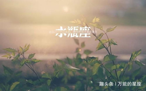 哪些星座痴心等待终有善果，余生只爱一个人？