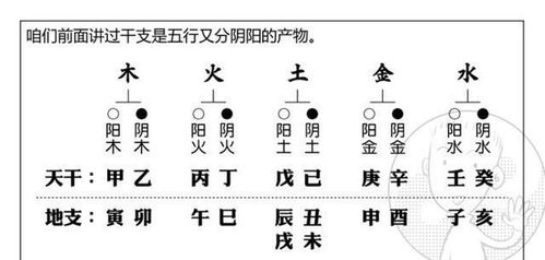 一、丙火的炽炎热本色——阳光灼灼