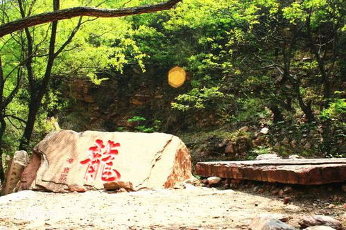 二、 天然风光游玩区：太行山中的天然氧吧（但别忘了带口罩）