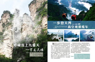 本地导游服务 (可选)：节省时间和精力