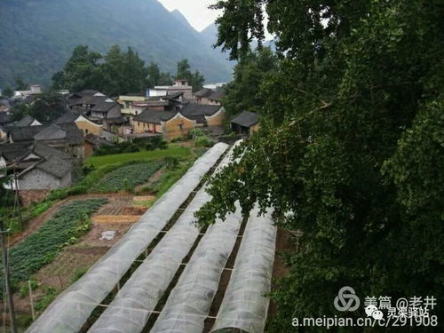 定安古村落的传奇人物，他们真的存在过吗？