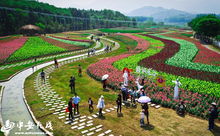 铜陵的隐藏彩蛋：位置和交通大揭秘