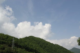 五、 第四天：大九湖环湖狂欢+返程准备