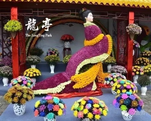 二、门票？票价？随意啦！