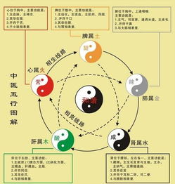 中医天赋八字是什么？有音乐天赋的人八字特点有哪些？
