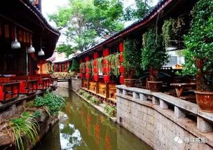 一、 走进盖北较小巷：古韵随风而来