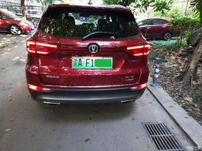 属鼠的朋友：小心驶得万年船