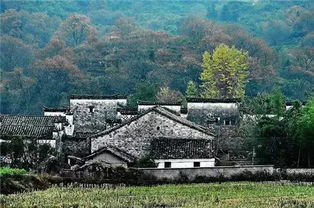 泾县云岭景区门票优惠套餐，呵呵，谁买谁傻！