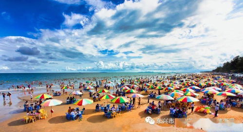 金滩：黄金沙粒下的秘密