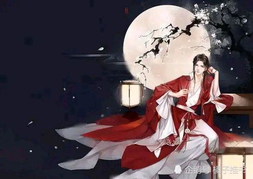 搞笑的风水小说推荐,风水玄幻幽默小说