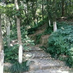 虎山公园门票价格大公开