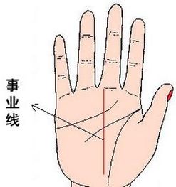 手相太乱，一生事业曲折