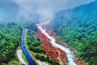 D3：白云山 + 失恋疗愈咖啡店