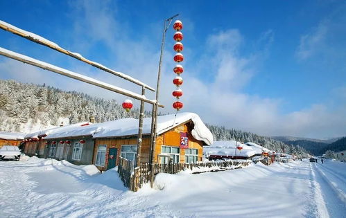 雪乡旅游乱象：当童话世界遇上现实暴击