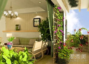 3. 植物的选择：选对能旺家