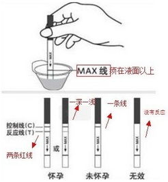 二、噪声测试室——怎么测出怀孕才能给孩子取对名字？