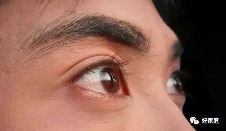 圆眼睛的人都是海王？！