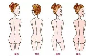体相之臀部宗旨：老祖宗留下的规矩
