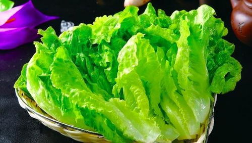梦见吃生菜预示着什么吉凶？