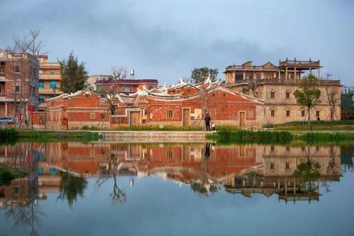 五店市人挤人？梧林村的破房子更有味道