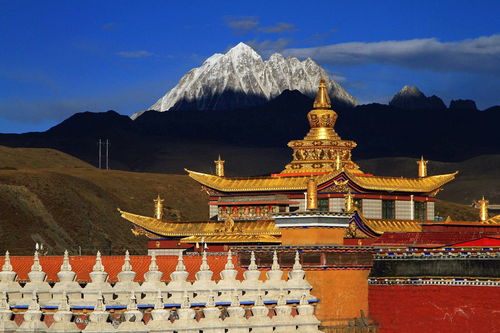 对比三巨大寺庙：塔公寺的“接地气”优势