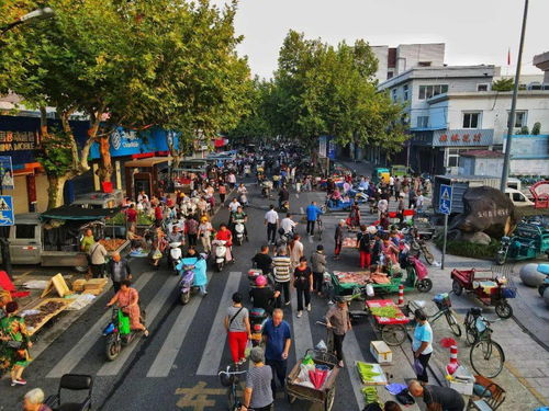 早市背后的“城里肌理”：平房早市怎么成为哈尔滨的“胃”和“魂”？这事儿得这么看！