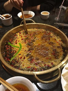 从成都到杭州：一场味蕾与视觉的双重旅行