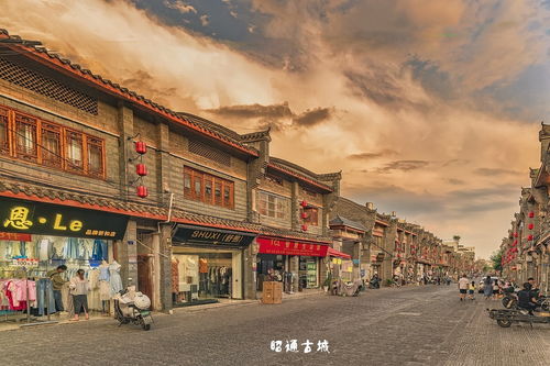 较小插曲：一只流浪猫和一段失落诗句（随意）🐱‍👓🖋️📜:
