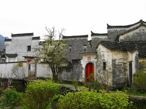 ① 早晨的南昌——城墙、滕王阁、还有那只不合时宜的鸽子