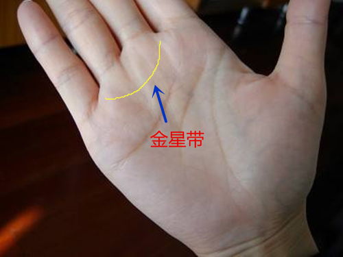 中指较长