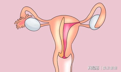 医学视角：炎症与病理