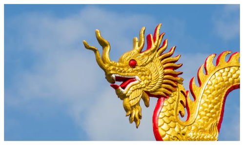 2026年属龙财运旺的方位和2000年属龙招财转运物品分别是什么？