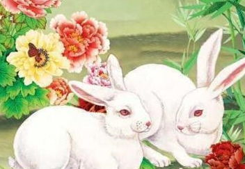 属兔人哪些流年吉凶喜忌会影响桃花运？