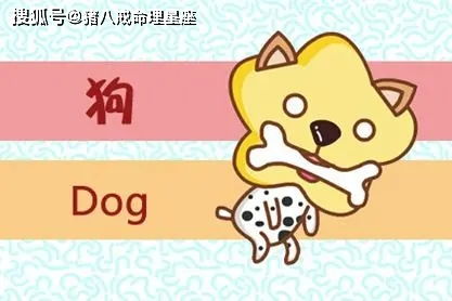 2026年3月26日属狗人运势如何？