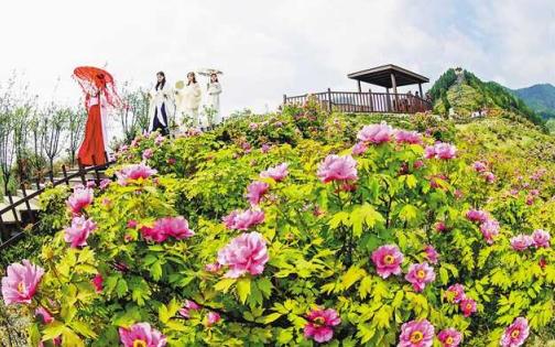 牡丹生态旅游区：山水花竹的融合，  国家AA级的底气