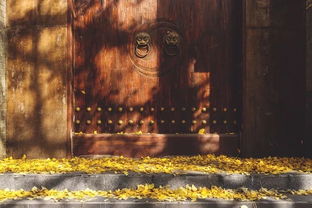 风水乱炖：古井与阴气