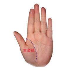 手纹看手相图片如何解读？