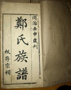 三、实用的姓名提议与案例解析