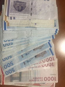 丹麦旅游到底要带多少现金？