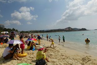 从蒙阴出发，开启夏日奇遇