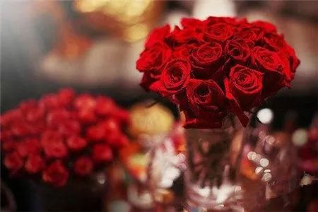 金牛座代表什么花？这花的花语又是什么？