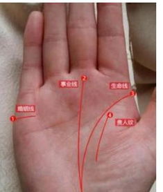 命运线上出现支线：多业兼顾还是心灵漂泊？