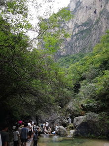一、五一将至，云溪仙境邀您共赴仙境之旅