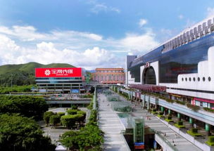 一、 罗湖口岸——进门即是乱套